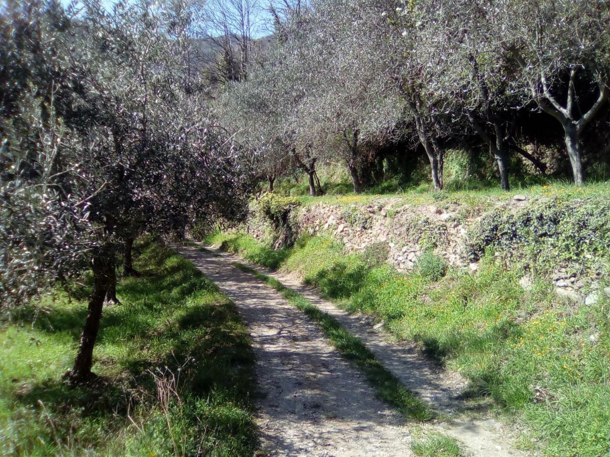 Contrada Casa Vacanze Appartement Vado Ligure Buitenkant foto